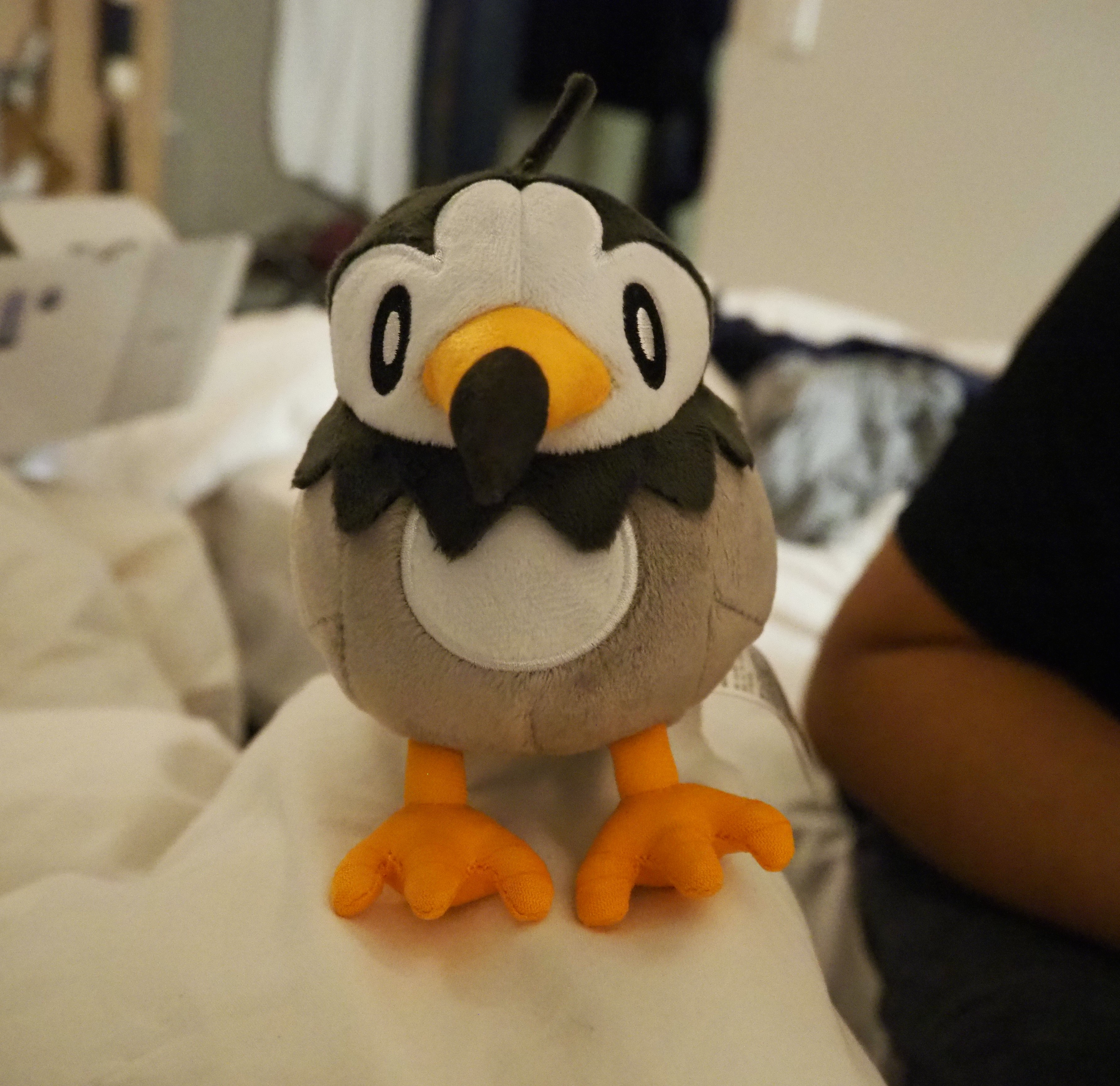 starly plush